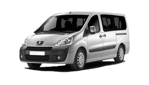 Peugeot Expert [G9] (2007-2016) задня кришка
